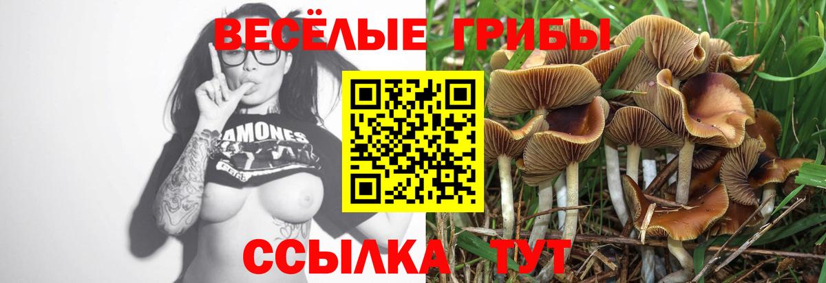 Псилоцибиновые грибы GOLDEN TEACHER  Вход с VPN  где найти   Прокопьевск 